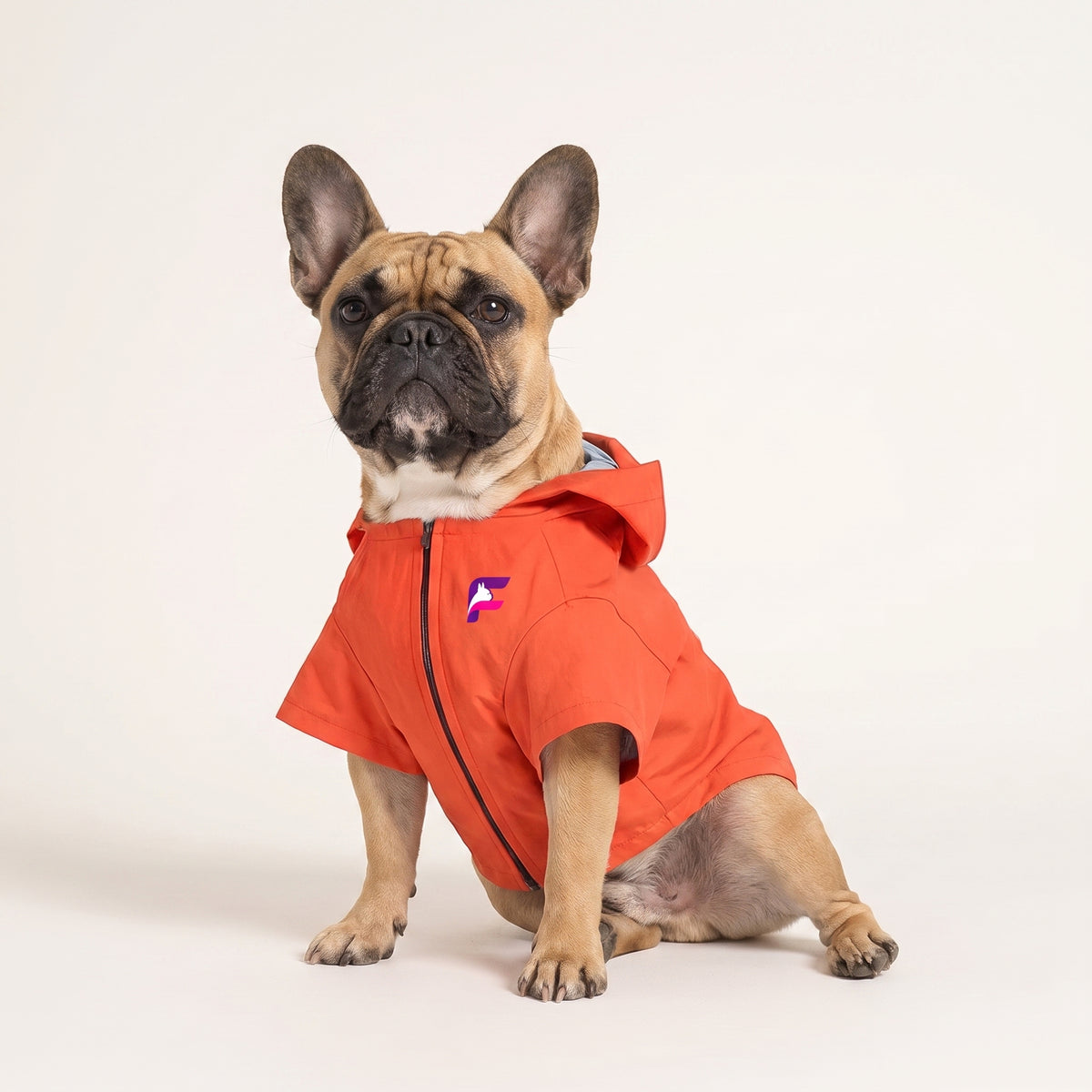 French Bulldog Hooded Raincoat | Frenchie Waterproof Rain Jacket