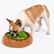 French Bulldog Interactive Snuffle Mat | Frenchie Foraging Toy