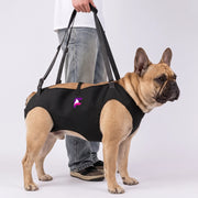 French Bulldog Lift Harness | Frenchie Portable Mobility Support
