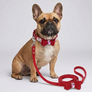 French Bulldog Luxury Rhinestone Bow Collar & Leash Set | Frenchie Glam Set
