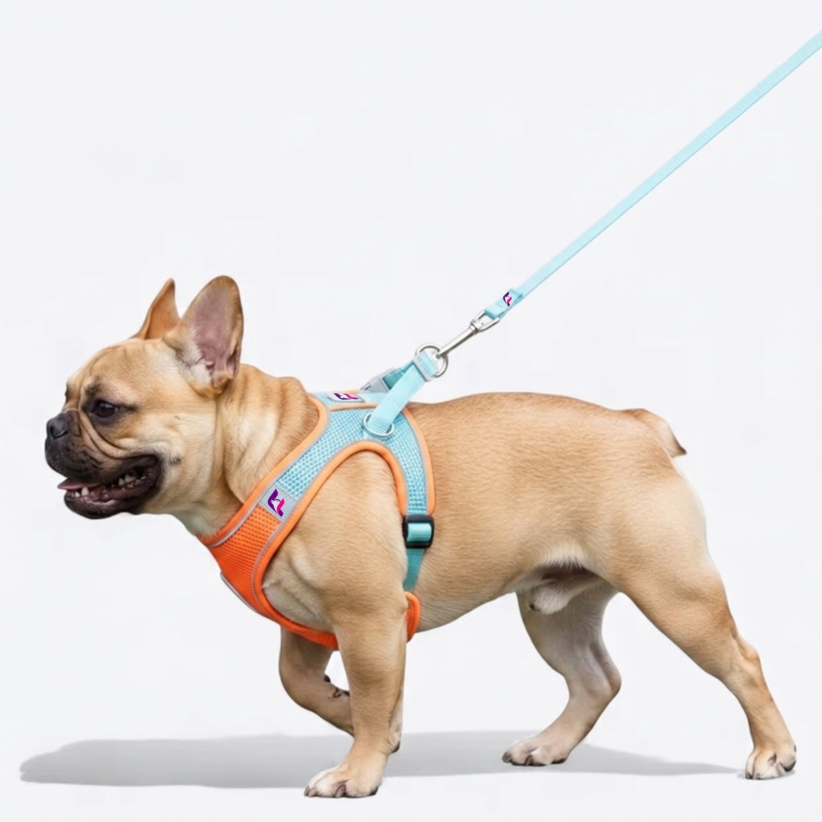 French Bulldog Mesh Reflective Harness & Leash Set | Frenchie Breathable Set