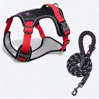 French-Bulldog-No-Pull-Harness-Leash-Set.jpg