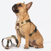 French-Bulldog-No-Pull-Harness-Leash-Set.jpg