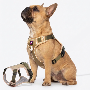 French-Bulldog-No-Pull-Harness-Leash-Set.jpg