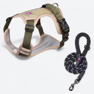 French-Bulldog-No-Pull-Harness-Leash-Set.jpg