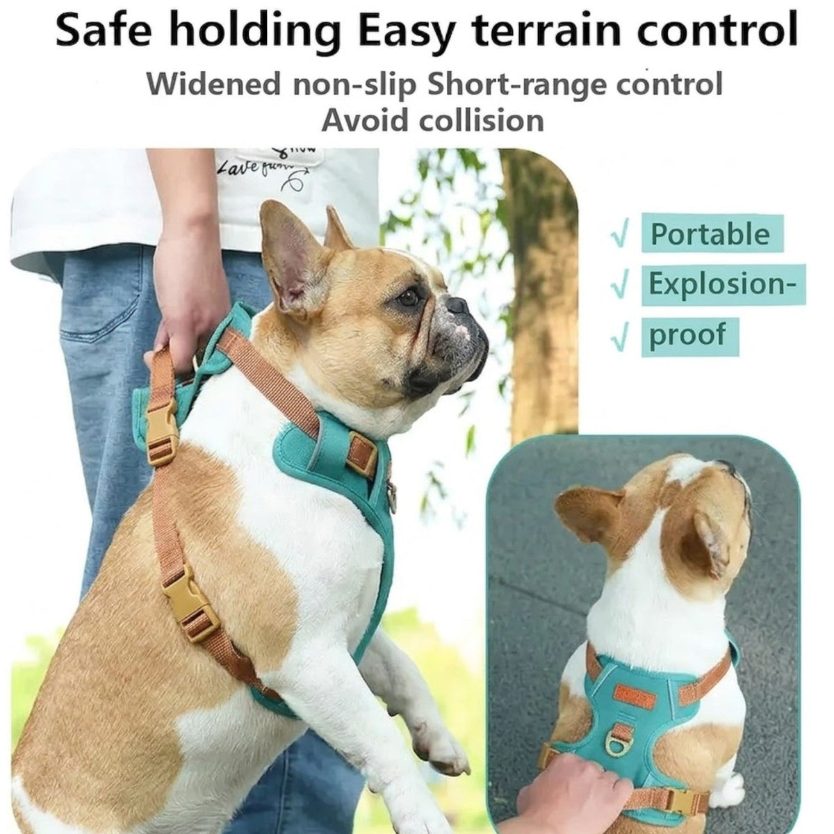 Escape-resistant French Bulldog harness with safety buckles and adjustable straps