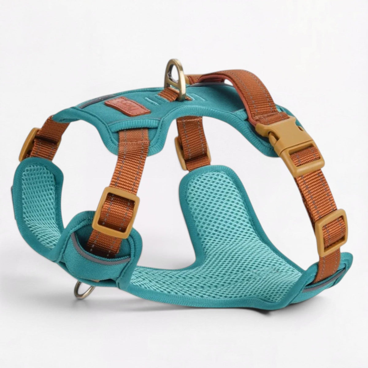 French Bulldog harness with front and back D-rings for two leash positions