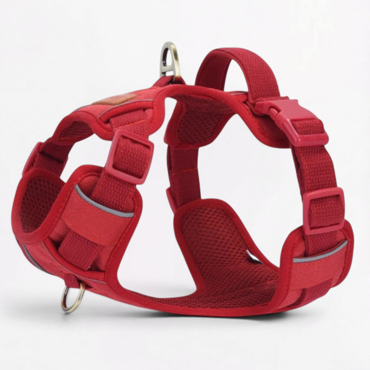 French Bulldog harness with front and back D-rings for two leash positions