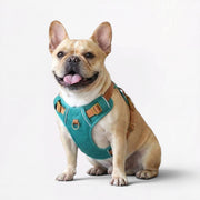 Reflective no-pull harness for French Bulldogs with a widened grab handle
