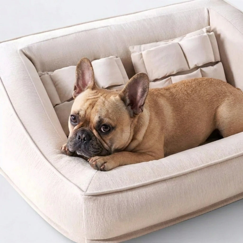 French-Bulldog-Orthopedic-Bed.jpg