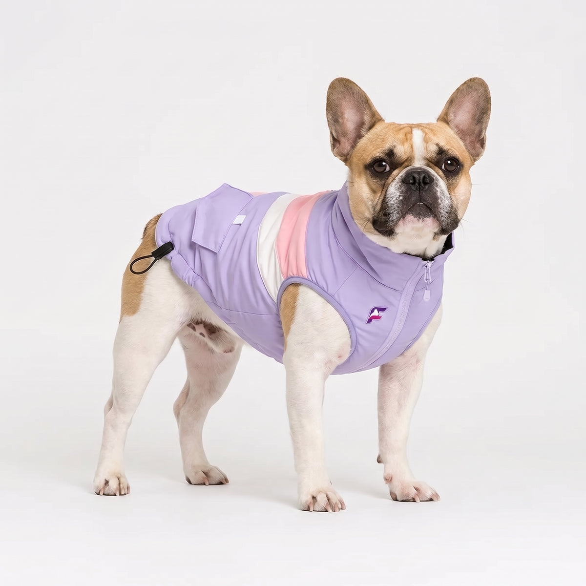 French Bulldog Padded Winter Coat | Frenchie Cold Weather Coat