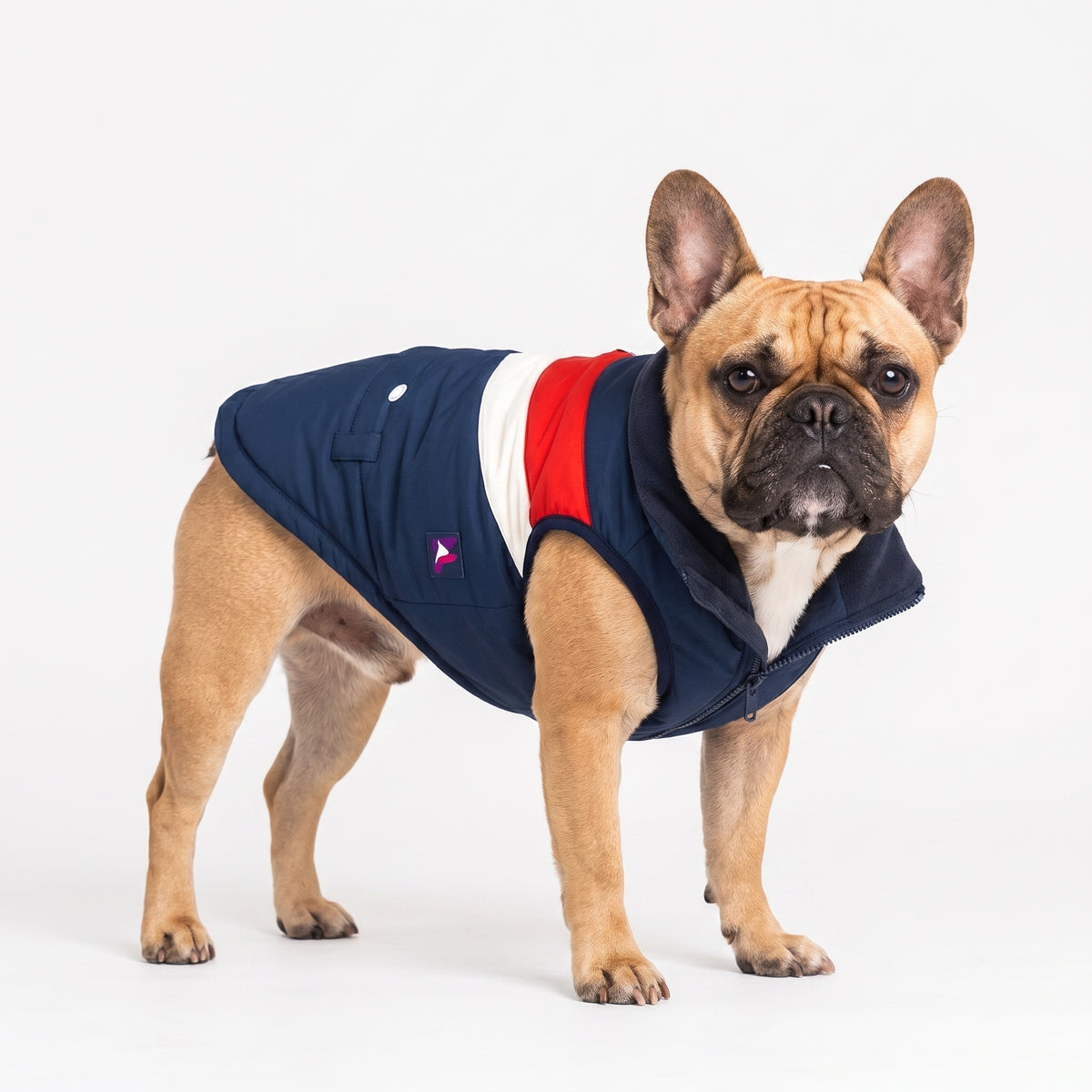 French Bulldog Padded Winter Coat | Frenchie Cold Weather Coat