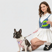French Bulldog Plush Toy Harness & Leash Set | Frenchie Breathable Chest Set
