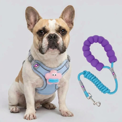 French Bulldog Plush Toy Harness & Leash Set | Frenchie Breathable Chest Set