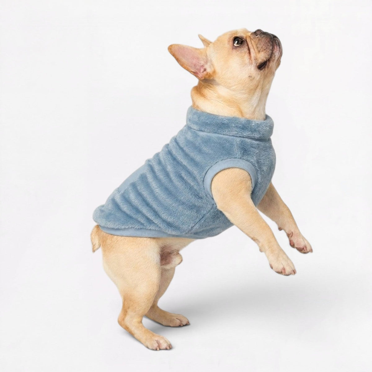 French Bulldog plush coat in sizes XS to L, in sky blue or khaki