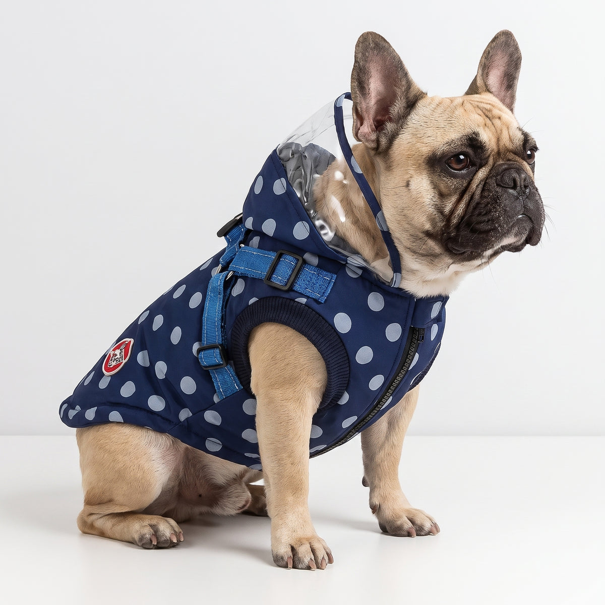 French Bulldog Polka Dot Jacket | Frenchie Waterproof Coat