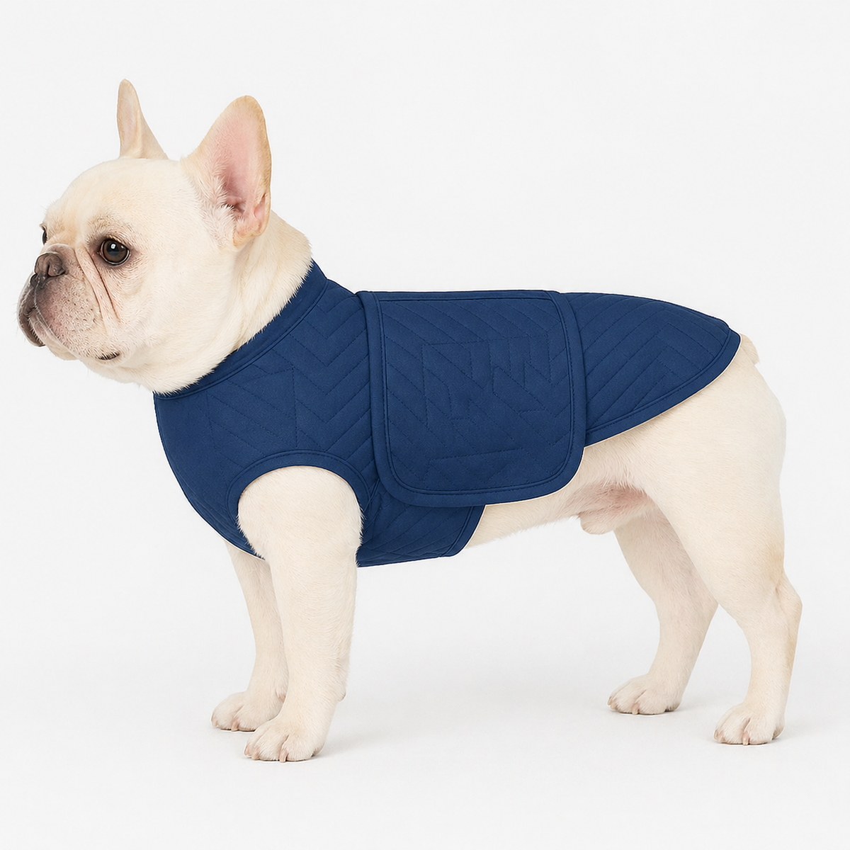 Adjustable wrap closure on a French Bulldog anxiety jacket, set to suit a wide chest and narrow waist