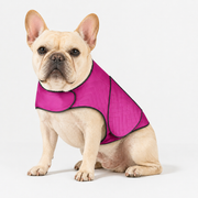 Quilted French Bulldog anxiety jacket with an adjustable wrap closure for steady, even compression