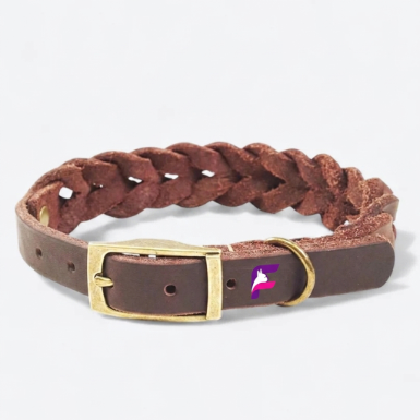 French Bulldog Premium Hand-Woven Leather Collar | Frenchie Braided Collar