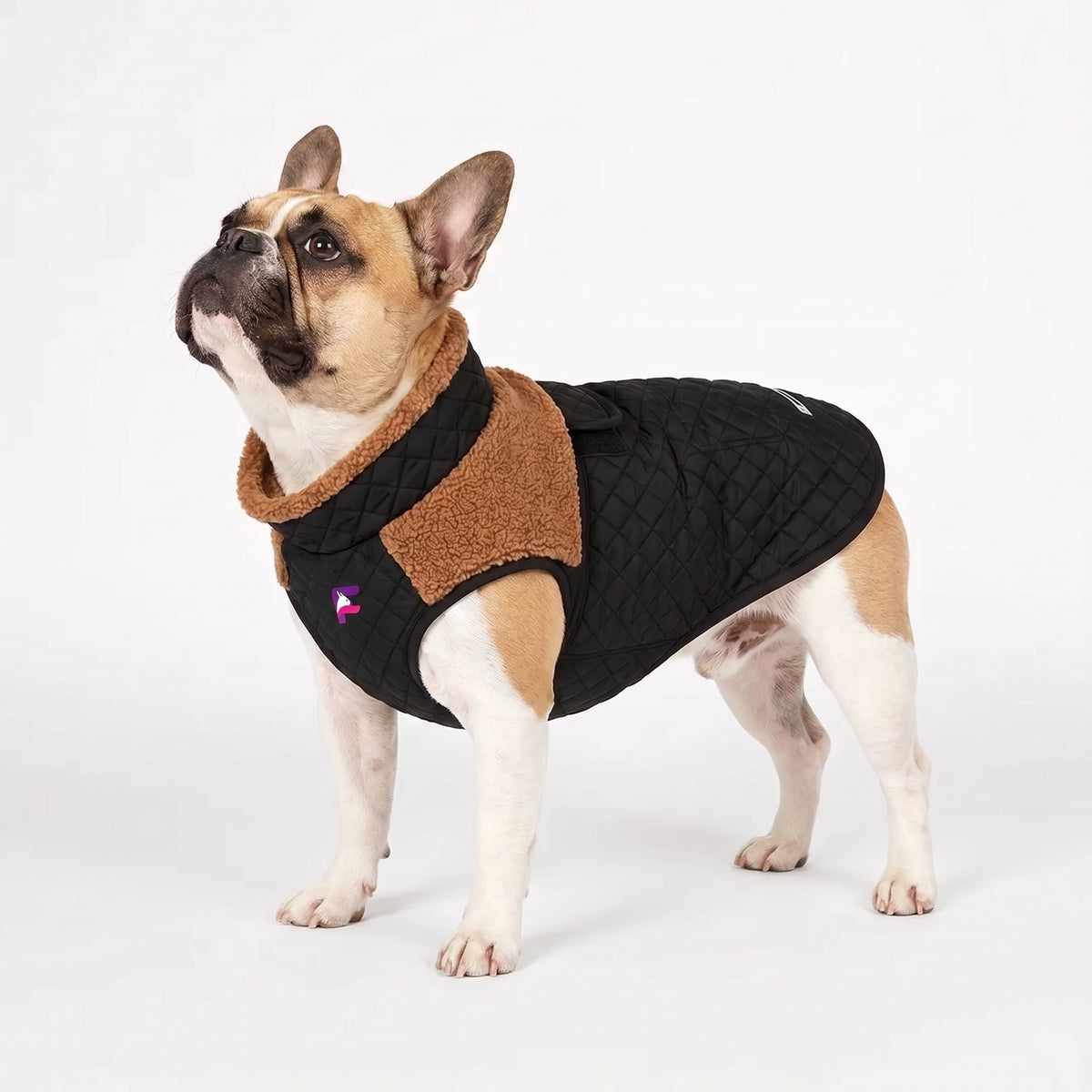 French Bulldog Quilted Winter Coat | Frenchie Sherpa Collar Coat