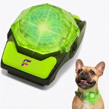French-Bulldog-Rechargeable-LED-Walking-Collar.jpg