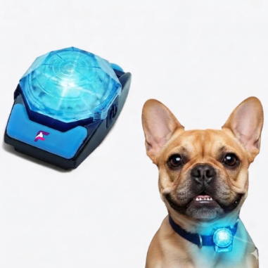 French-Bulldog-Rechargeable-LED-Walking-Collar.jpg