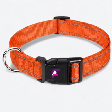 French Bulldog Reflective Adjustable Nylon Collar | Frenchie Safety Collar