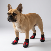 French-Bulldog-Reflective-Anti-Slip-Boots.jpg
