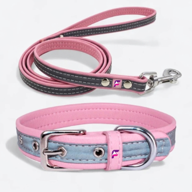 French Bulldog Reflective Collar & Leash Set | Frenchie Night-Visible Set