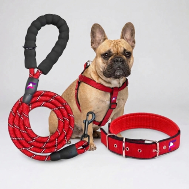 French Bulldog Reflective Harness, Collar & Leash Set | Frenchie Night Set