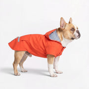 French Bulldog hooded raincoat with a waterproof shell and Velcro fastening
