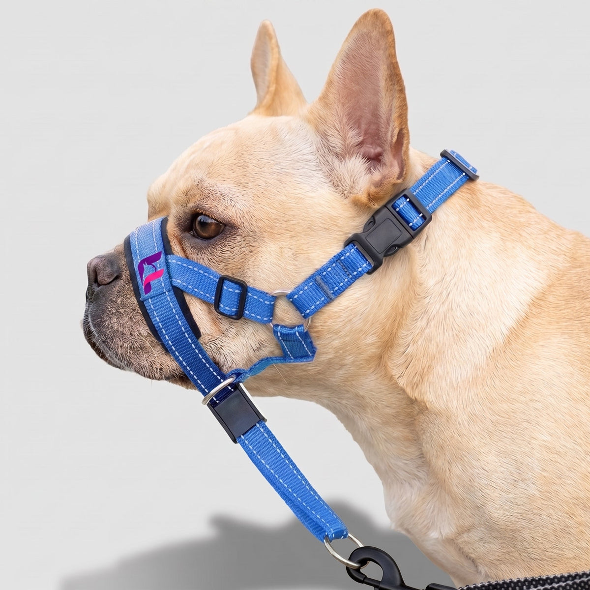 French Bulldog Reflective Mouth Muzzle with Collar | Frenchie Training Muzzle