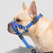 French Bulldog Reflective Mouth Muzzle with Collar | Frenchie Training Muzzle