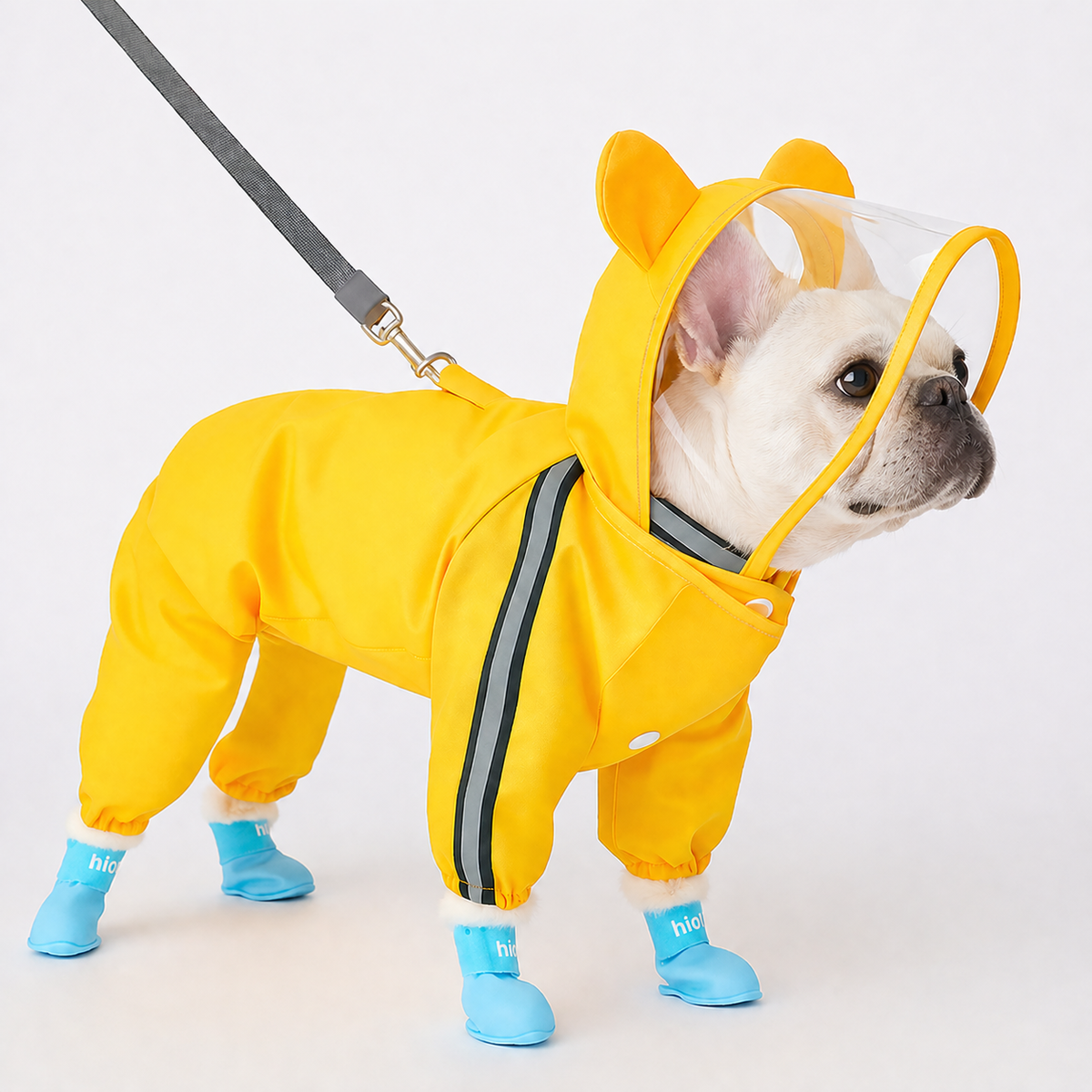 Full-body French Bulldog raincoat with a waterproof outer and clear hood visor