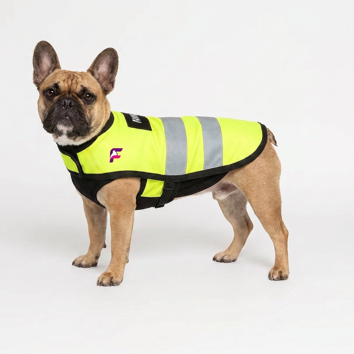 French Bulldog Reflective Safety Vest | Frenchie Walking & Running Vest