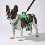 French Bulldog Reflective Tactical Harness Set | Frenchie MOLLE Vest