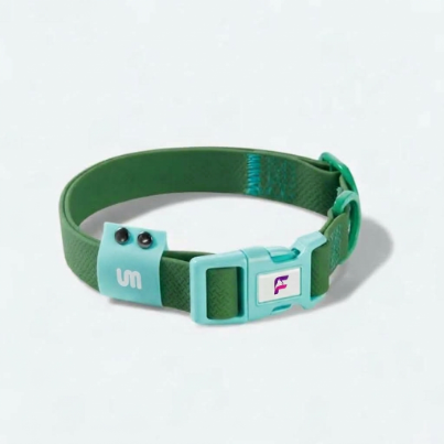 French Bulldog Reflective Waterproof Collar | Frenchie PVC Collar