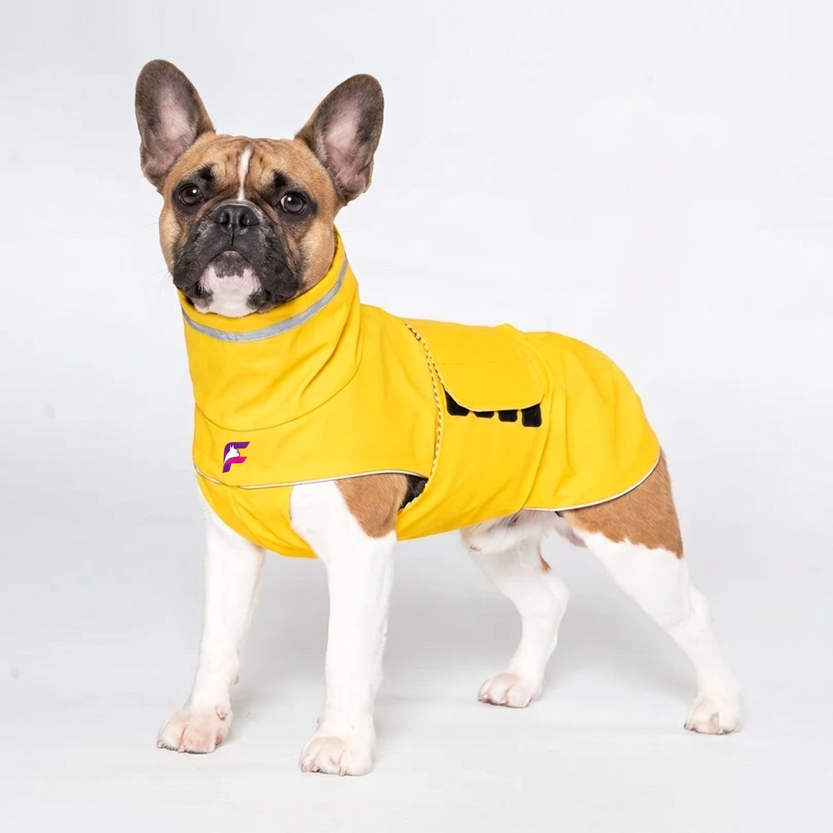 French Bulldog Reflective Waterproof Jacket | Frenchie Hi-Vis Coat