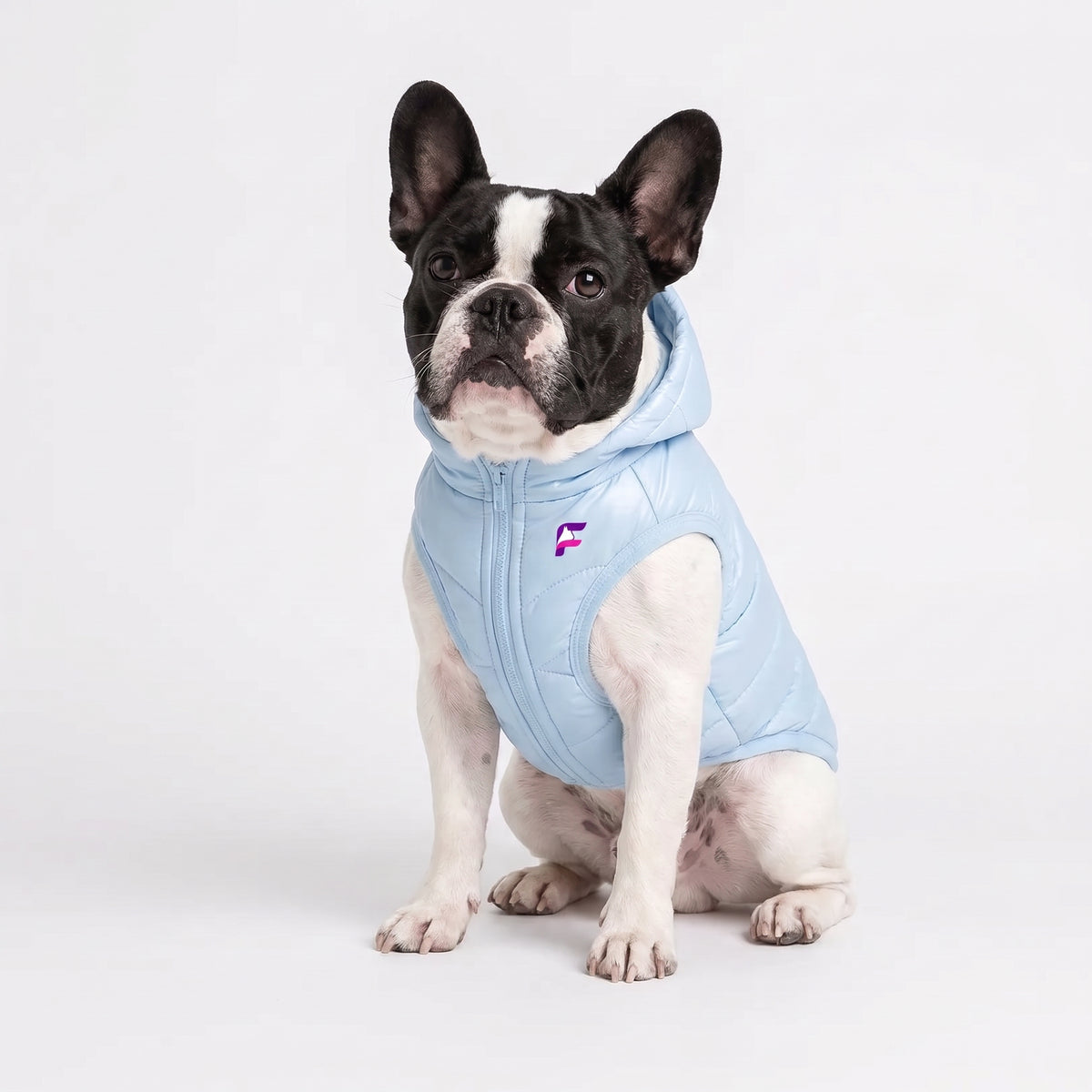 French Bulldog Reflective Winter Vest | Frenchie Iridescent Coat