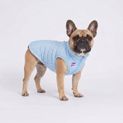 French Bulldog Reflective Winter Vest | Frenchie Iridescent Coat