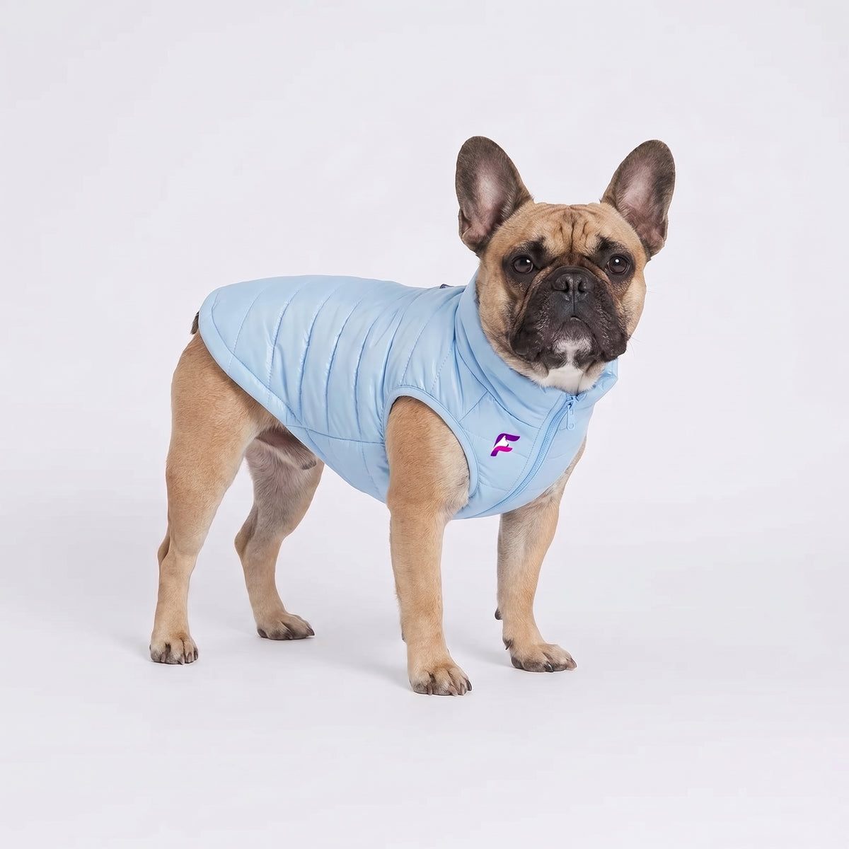 French Bulldog Reflective Winter Vest | Frenchie Iridescent Coat