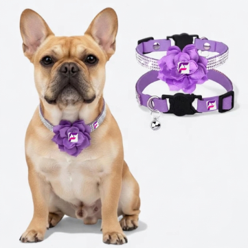 French Bulldog Rhinestone Flower Collar with Bell | Frenchie Charm Collar