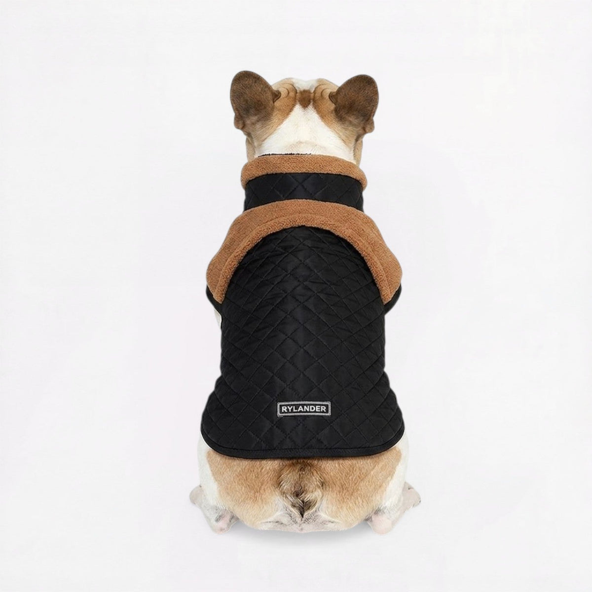 Sherpa lined French Bulldog winter jacket in Claret