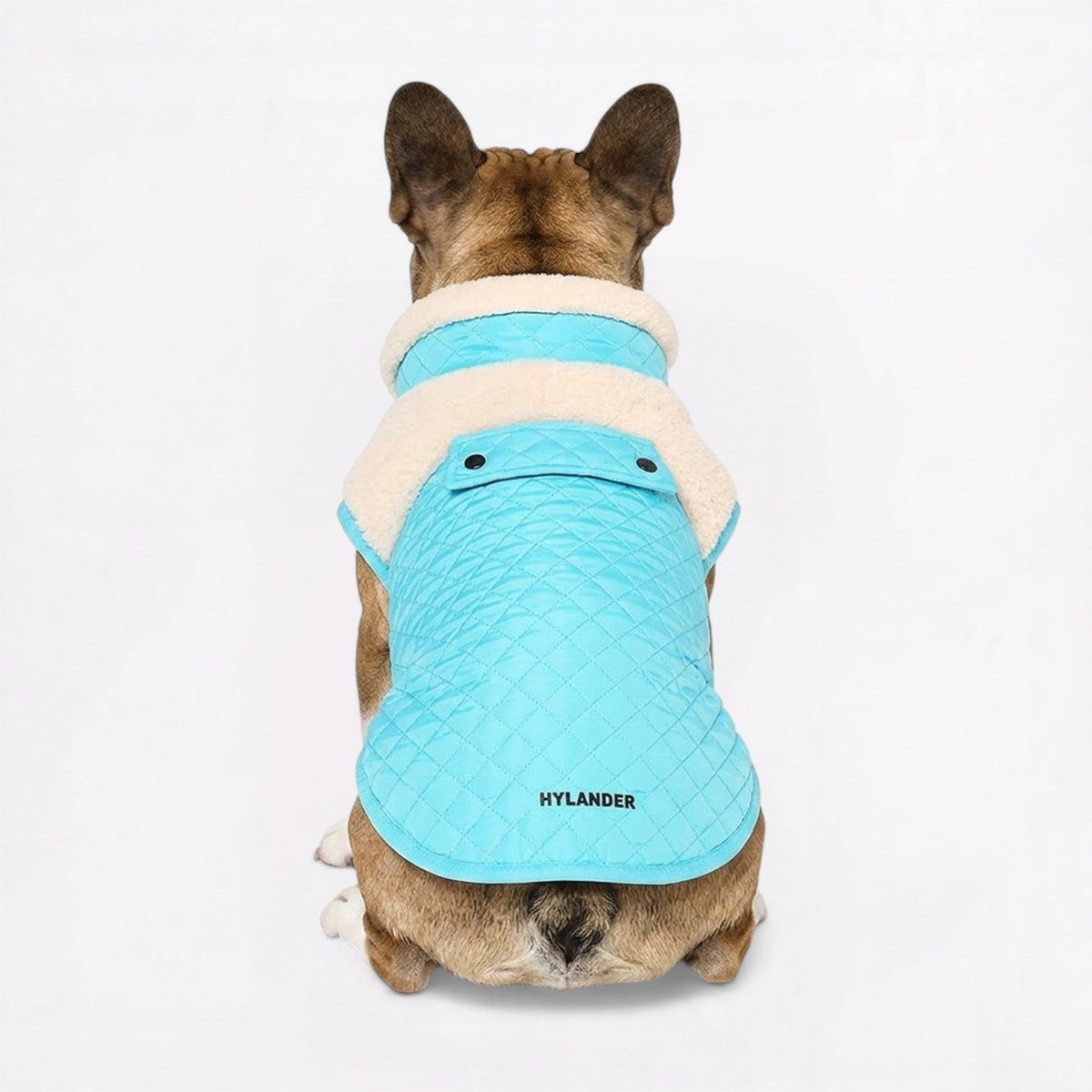 Diamond quilted outer panel on a sherpa lined French Bulldog jacket