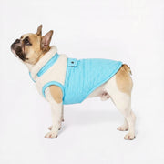 French Bulldog winter jacket with a deep sherpa lining for cold walks