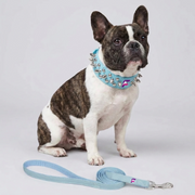 French Bulldog Spiked Leather Collar & Leash Set | Frenchie Bold Style Set