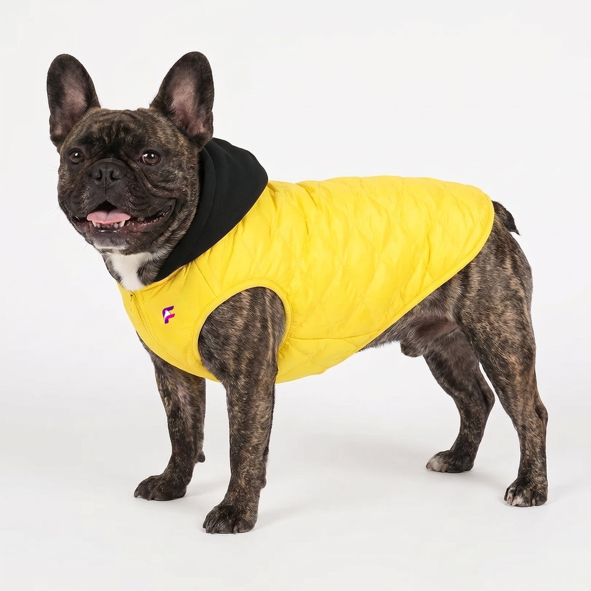 French Bulldog Spot Embossed Hooded Coat | Frenchie Zip-Up Coat
