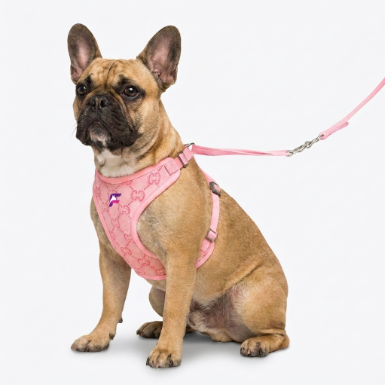 French Bulldog Stylish Mesh Harness Set | Frenchie Breathable Comfort Set
