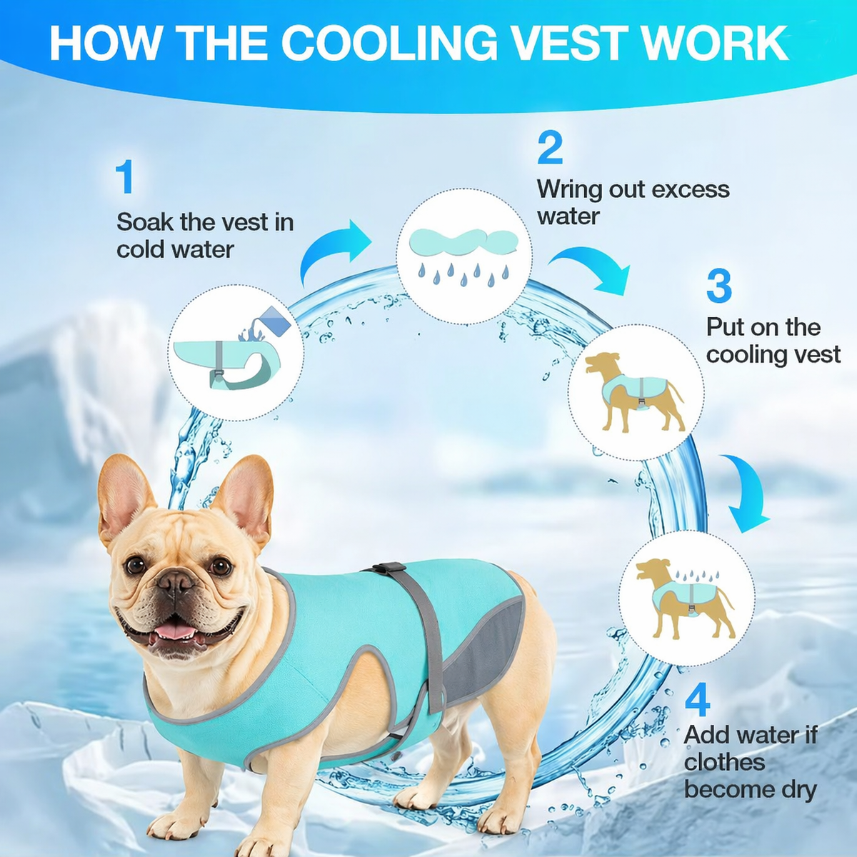 Reusable Frenchie cooling vest that dries quickly between walks and garden time