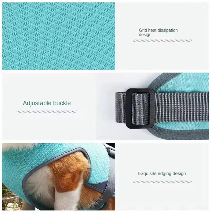 UV protective Frenchie cooling vest for walks and car journeys in hot weather